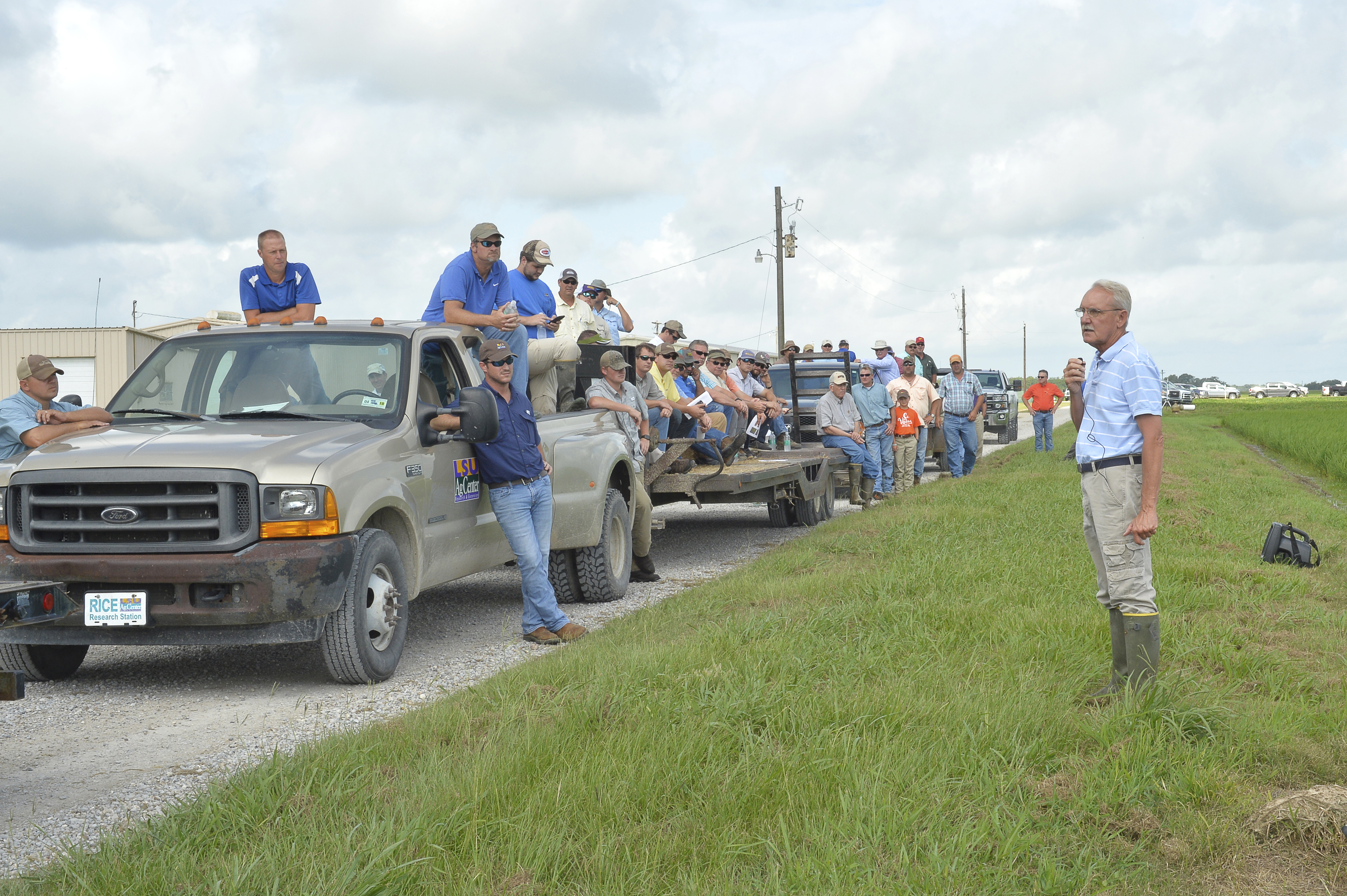 Rice farmers should scout fields amid rainy summer weather 